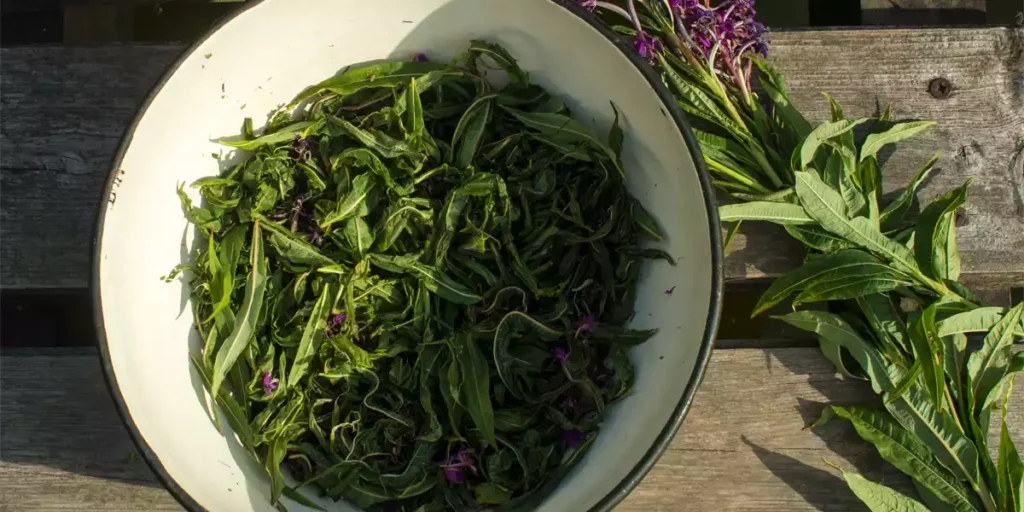 The Benefits of Yoga: Mind, Body, and Soul